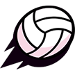 volleyBrawl logo